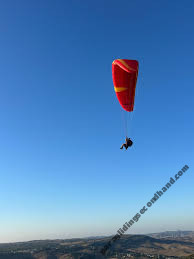 Flow Panorama 2, 41, 2024, (90-220kg), 0h