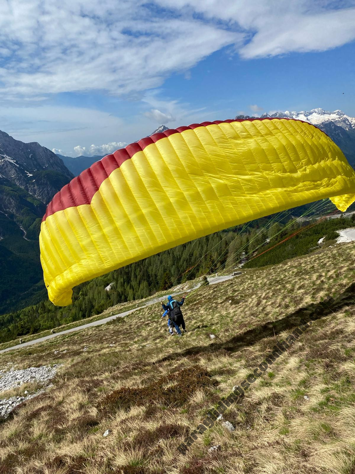 GIN Gliders Fuse3, 44, 2024, (120-240kg), 90h