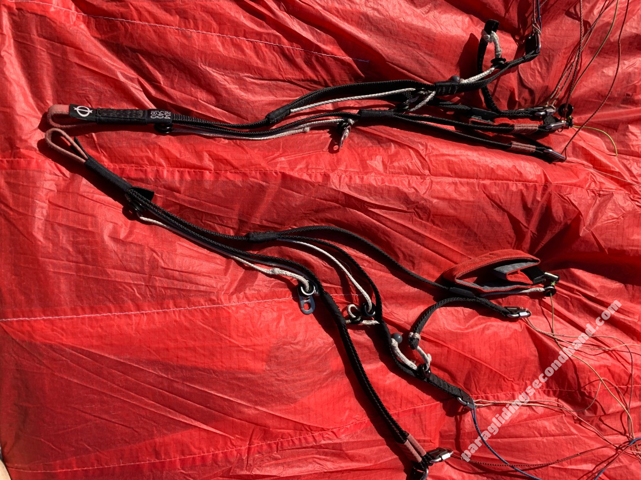 Phi Maestro, 21, 2019, (75-100kg), 200h