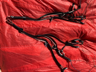 Phi Maestro, 21, 2019, (75-100kg), 200h