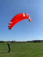 Phi Maestro, 21, 2019, (75-100kg), 200h