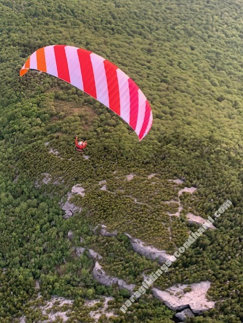 Phi Symphonia 2, 22, 2022, (75-95kg), 11h