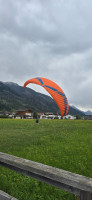 Ozone BUZZ Z7, 24, 2024, (65-85kg), 50h