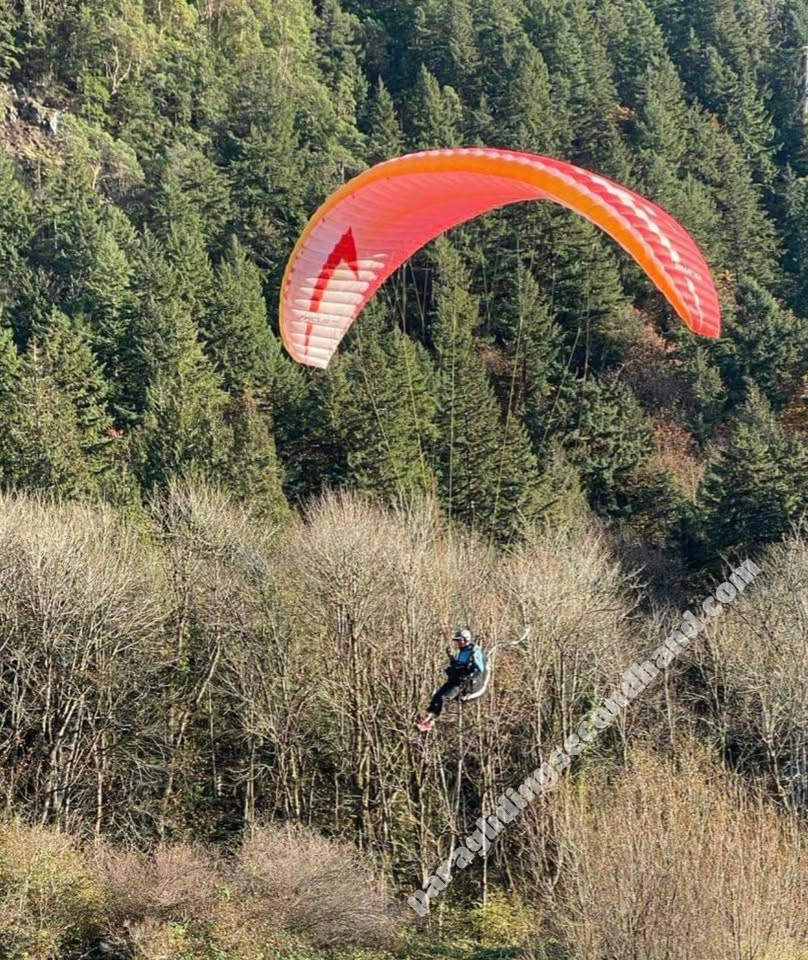 Swing Swing Arcus RS Lite, M, 2018, (85-105kg), 85h