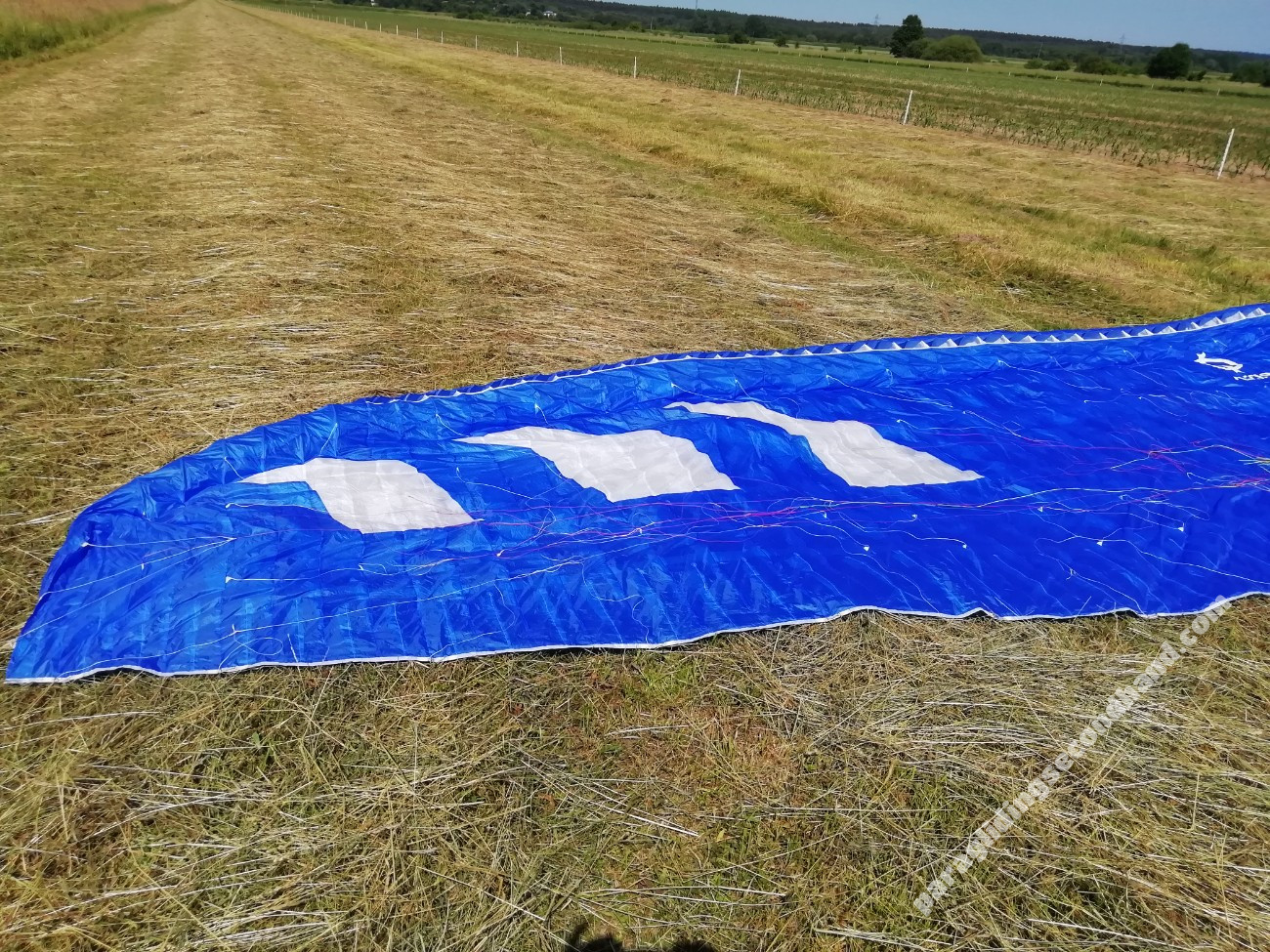 Phi Allegro, 24, 2020, (105-130kg), 125h