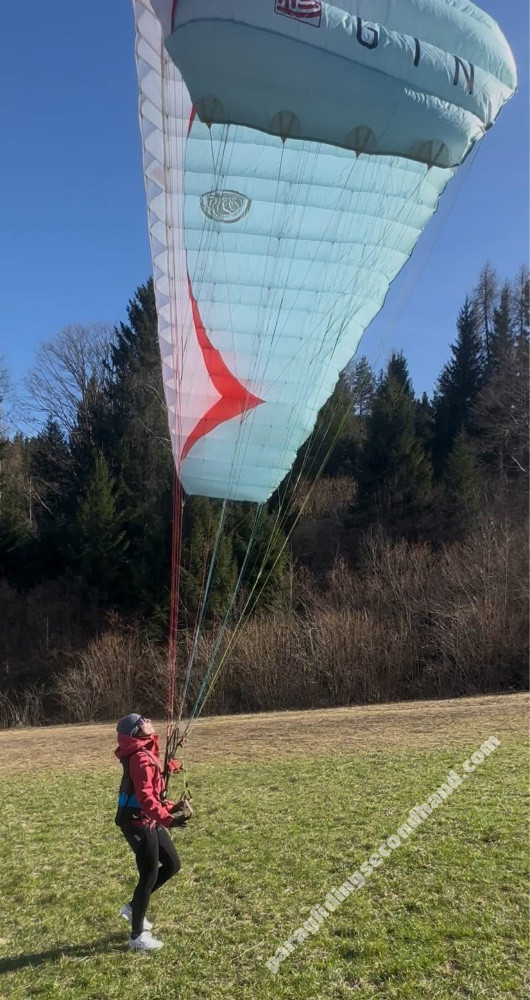 GIN Gliders bobcat, 13.5, 2016, (70-100kg), 10h