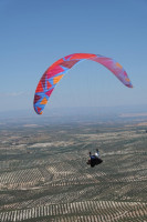 BGD Diva 2, ML, 2025, (90-108kg), 30h