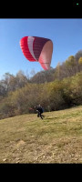 Ozone Mojo 4, M, 2012, (80-100kg), 200h