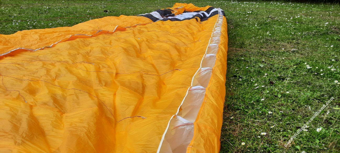 Phi Beat, 24, 2020, (90-110kg), 40h