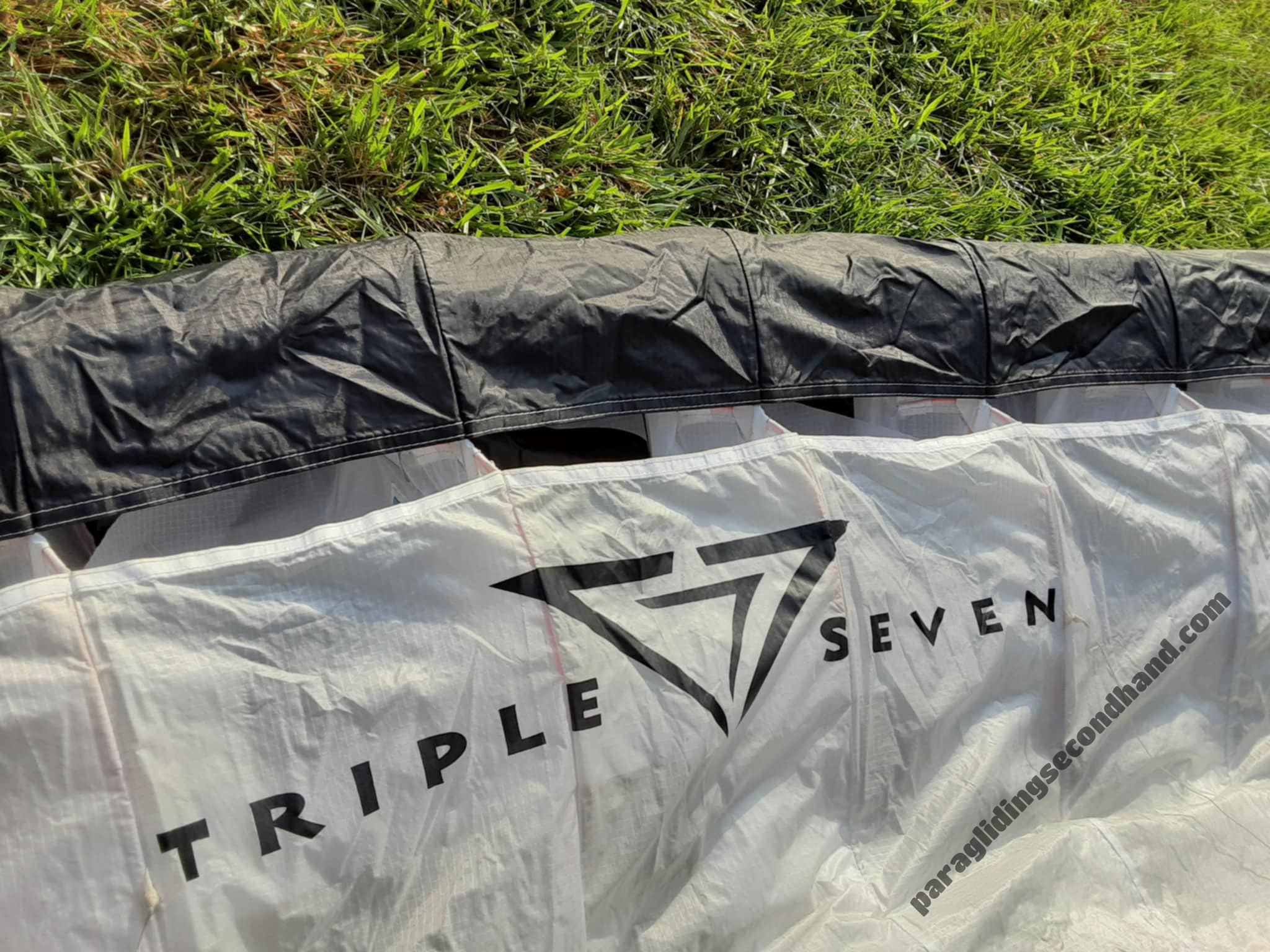Triple Seven 777 Queen 2, 24, 2018, (80-100kg), 70h