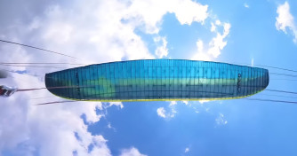 Apco Nestra, M, 2024, (76-96kg), 25h