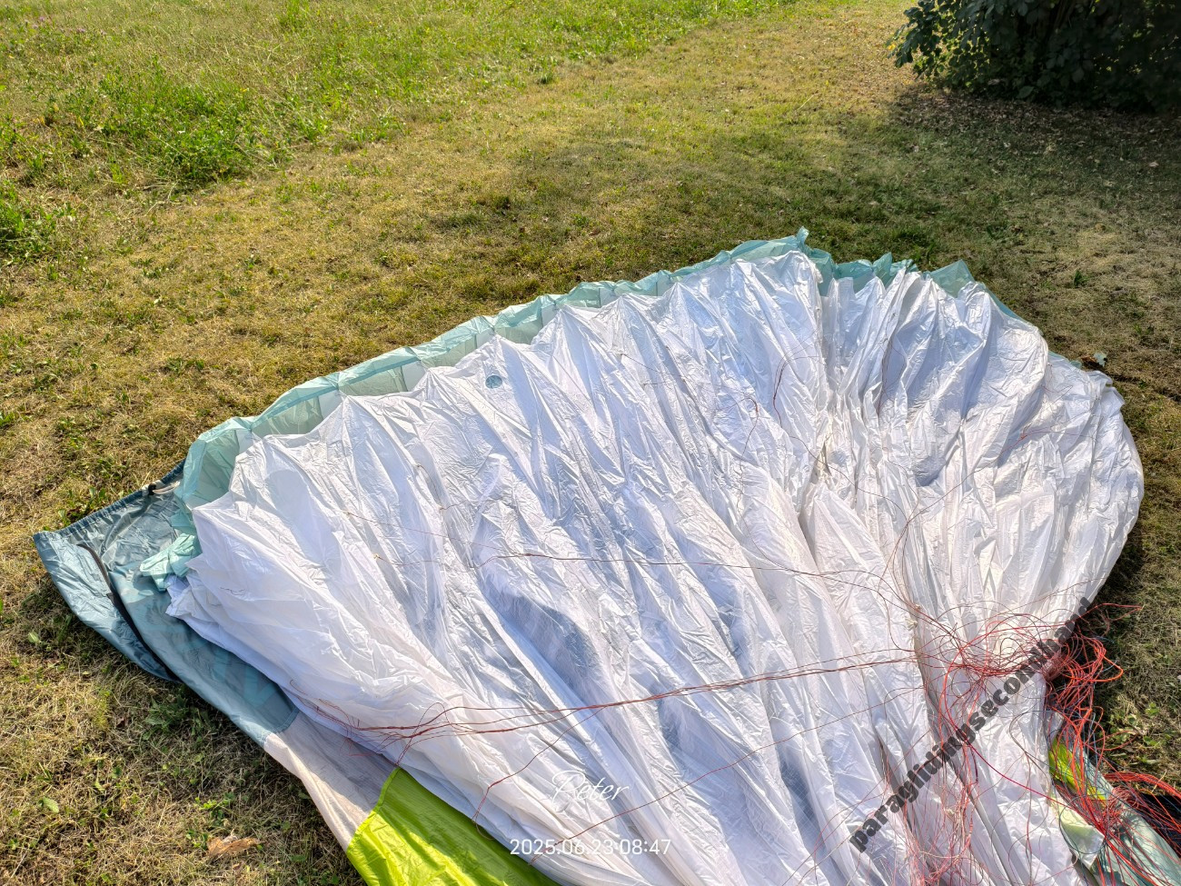 Nova Codex, S, 2023, (80-105kg), 70h