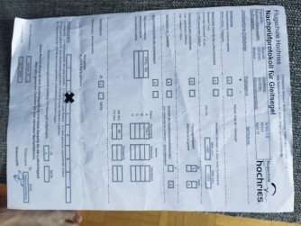 Skywalk Arriba 3, S, 2015, (70-100kg), 75h