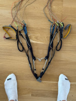 Advance Iota 2, 25, 2020, (80-100kg), 230h