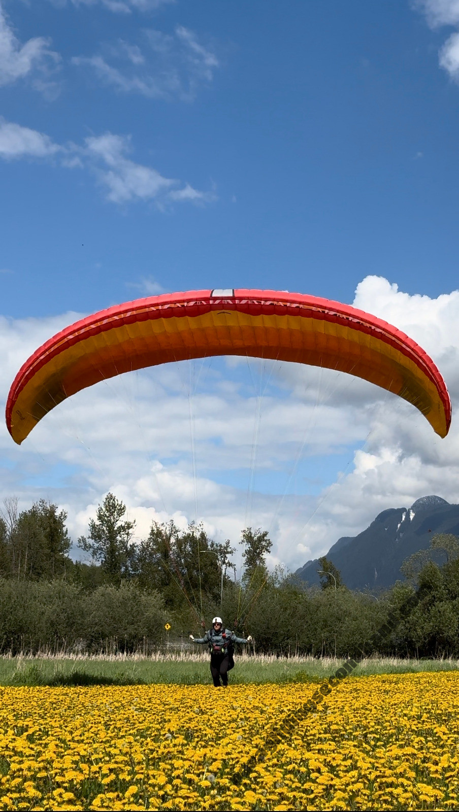 Mac Para Muse 5, 34, 2022, (115-145kg), 48h