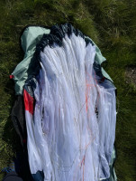 Skywalk Sage, 115, 2025, (95-115kg), 5h