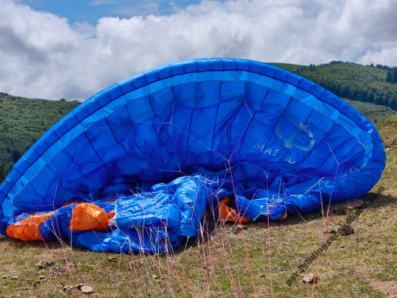 Phi Maestro 2, 21, 2022, (75-95kg), 150h