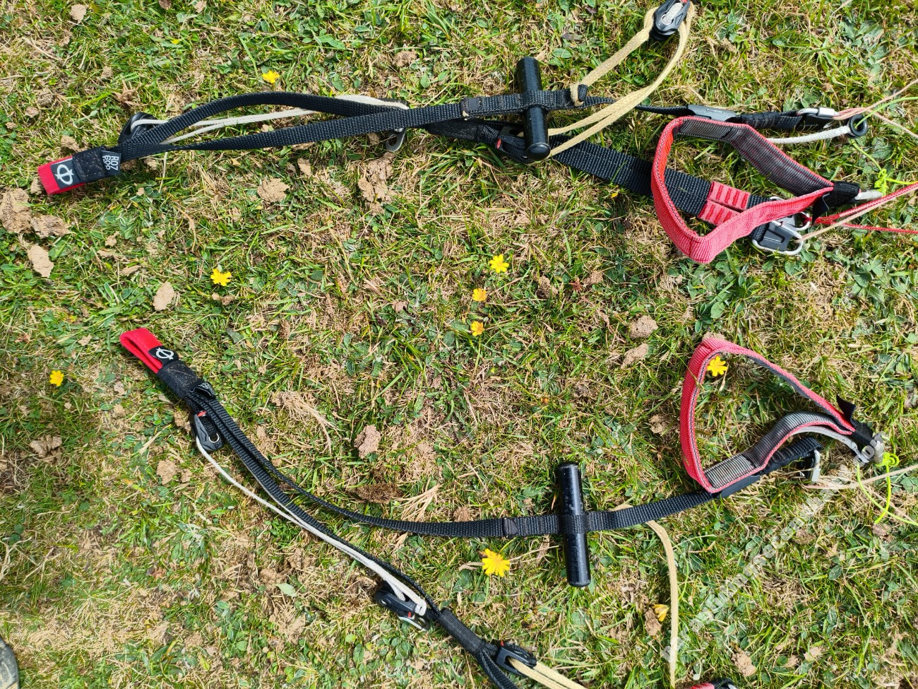 Phi Maestro 2, 21, 2022, (75-95kg), 150h