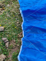 Phi Maestro 2, 21, 2022, (75-95kg), 150h