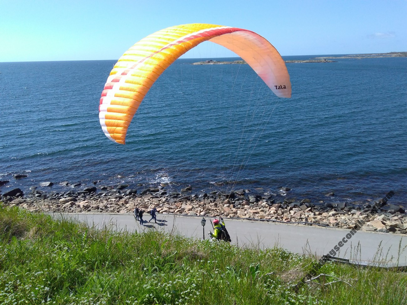 BGD Tala, 25, 2012, (80-100kg), 100h