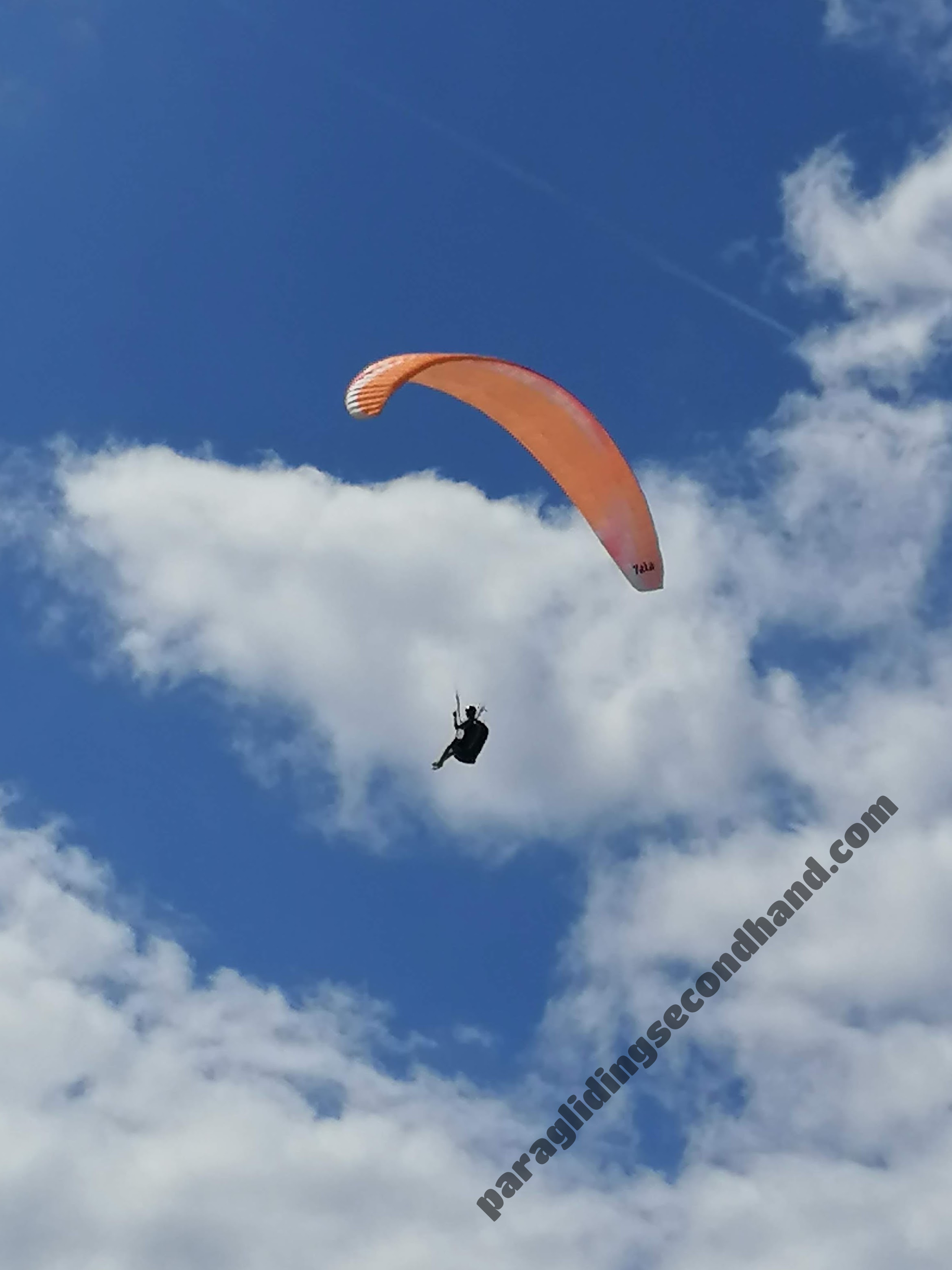 BGD Tala, 25, 2012, (80-100kg), 100h