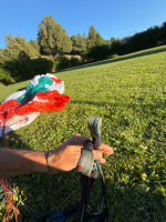 Advance Pi3, 27, 2024, (92-125kg), 15h