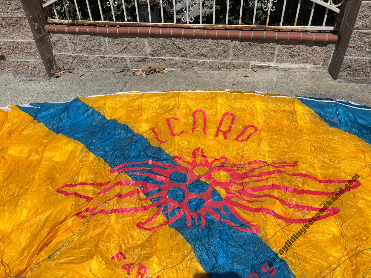 Icaro Aquila, 20, 2018, (75-95kg), 45h