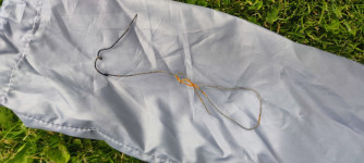 UP Meru 2, SM, 2024, (88-101kg), 0h