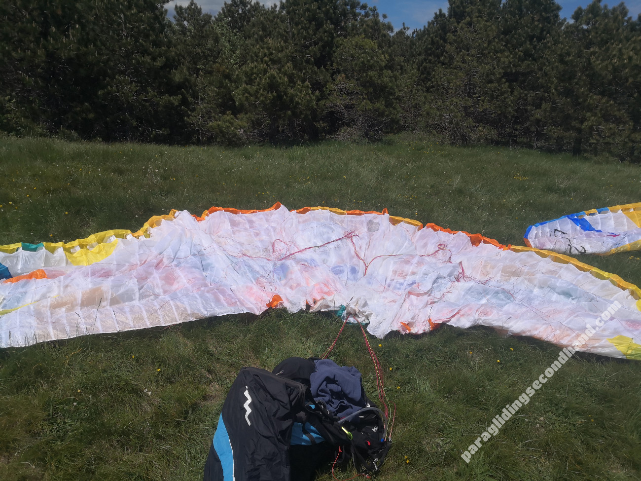 BGD Lynx 2, ML, 2023, (88-108kg), 110h