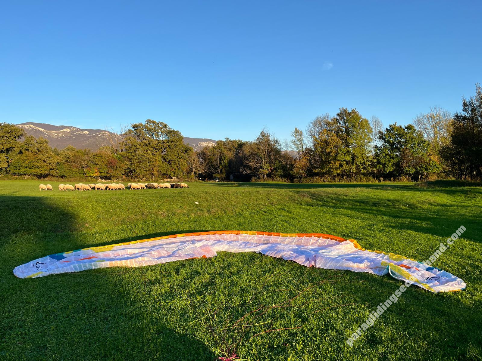 BGD Lynx 2, ML, 2023, (88-108kg), 110h