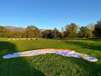 BGD Lynx 2, ML, 2023, (88-108kg), 110h