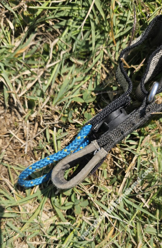 Advance Bibeta 6, 41, 2020, (120-225kg), 110h