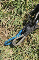 Advance Bibeta 6, 41, 2020, (120-225kg), 110h