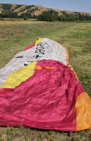 Advance Bibeta 6, 41, 2020, (120-225kg), 110h