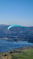 GIN Gliders Yeti 6, 21, 2024, (50-95kg), 30h