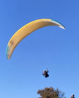 Niviuk ARTIKR, 21, 2023, (65-85kg), 160h