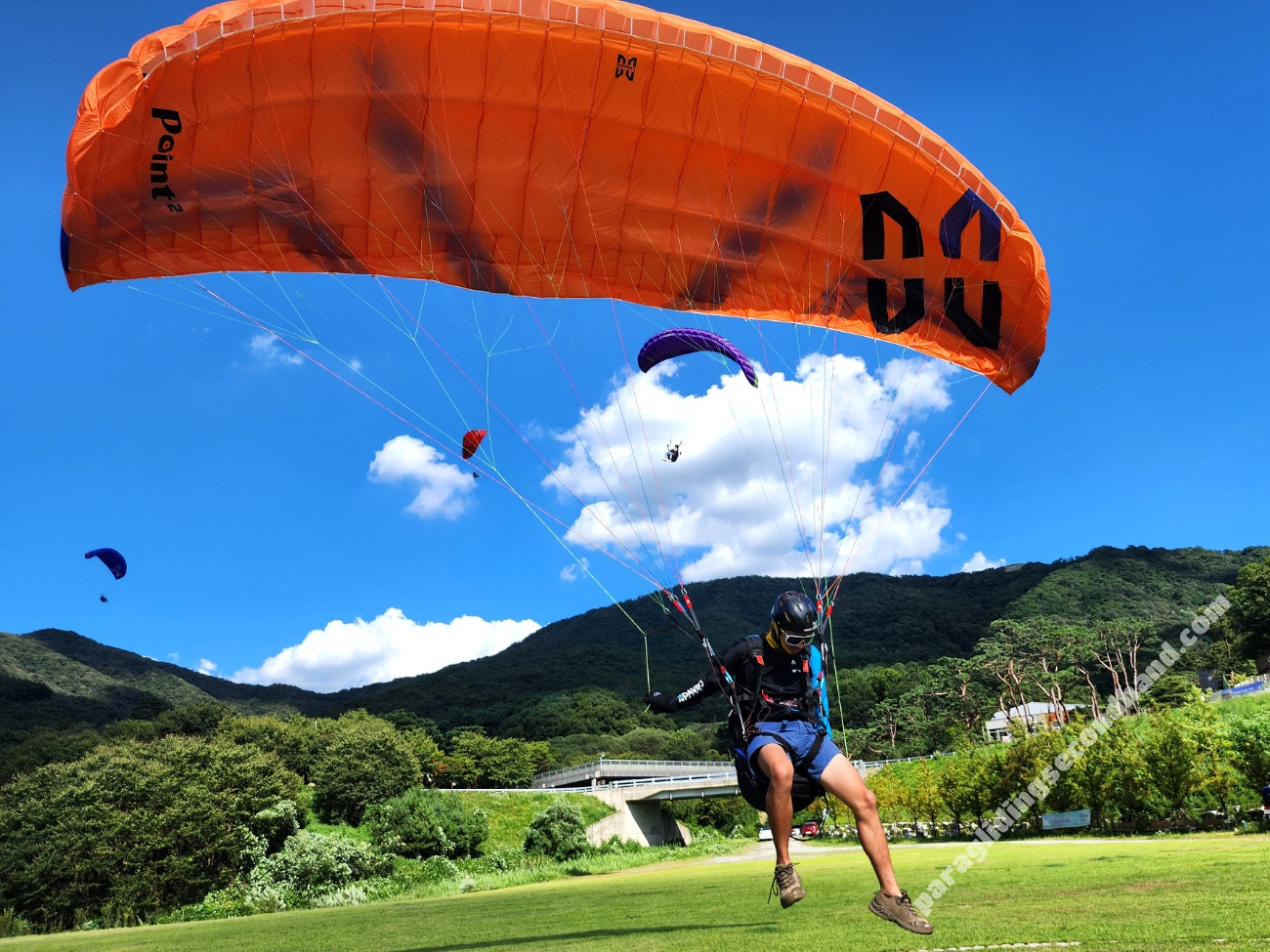 Davinci Gliders Point 2, L, 2025, (90-105kg), 0h