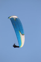 Niviuk Artik 5, 24, 2018, (75-95kg), 152h