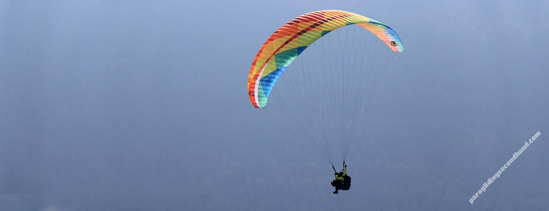 BGD Dual 2, 40, 2025, (120-210kg), 40h