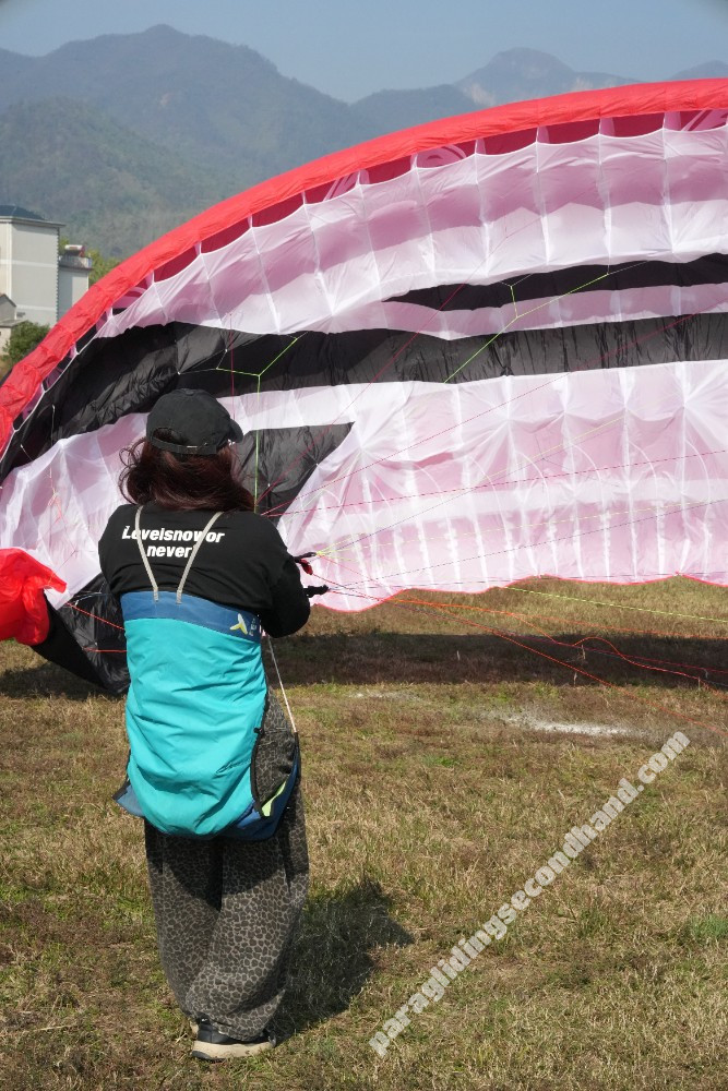 Harness ziyouma, M, 2024