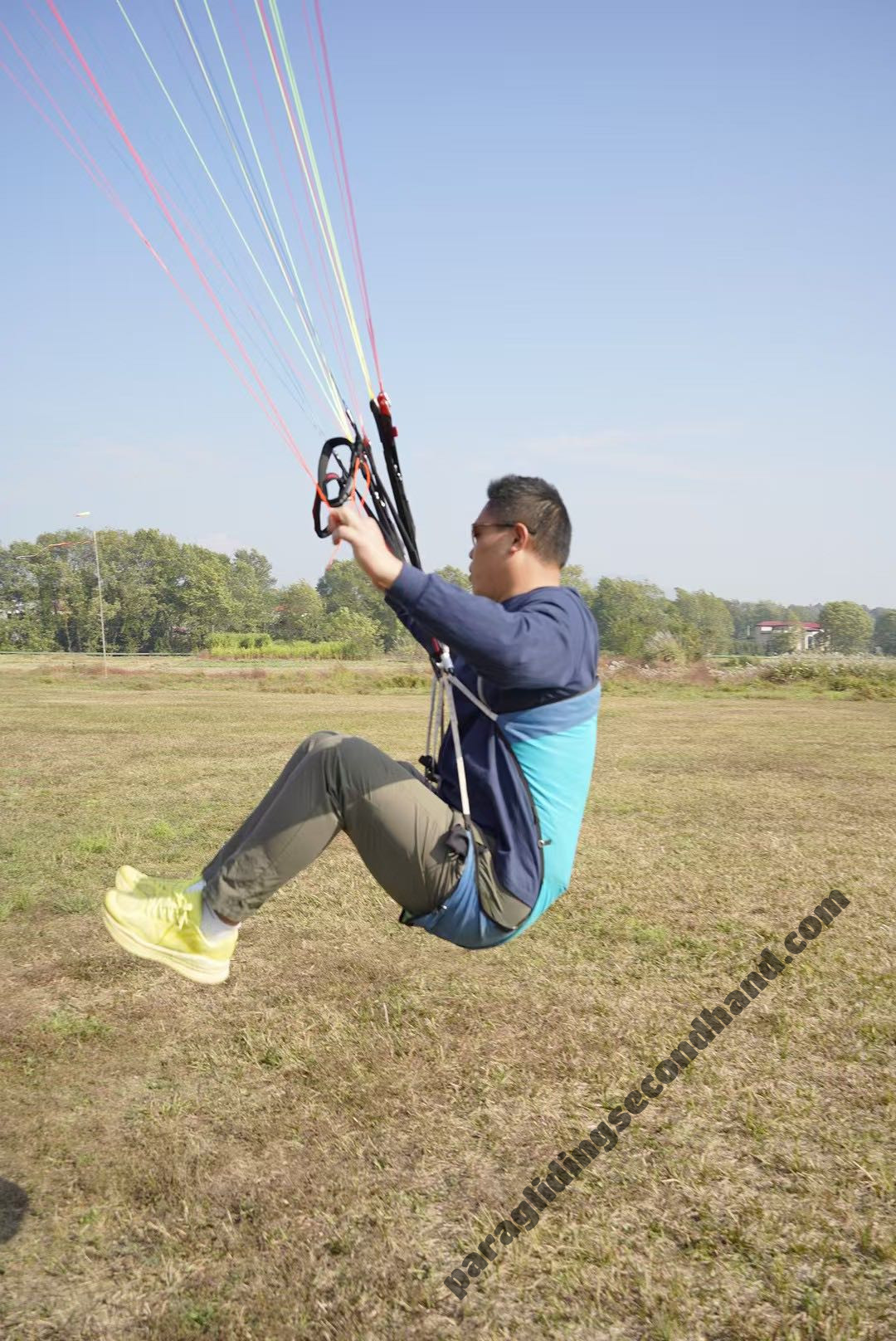 Harness ziyouma, M, 2024