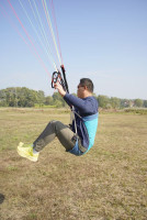 Harness ziyouma, M, 2024