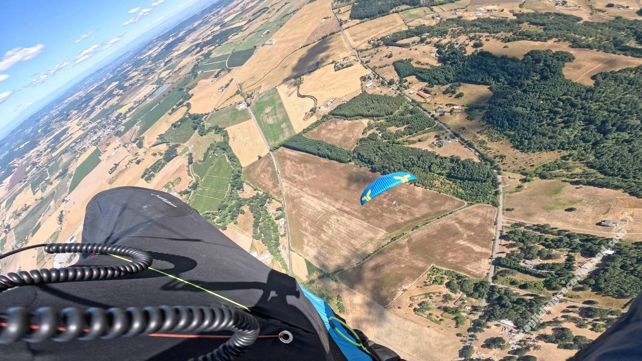 Ozone Buzz Z7, XL, 2024, (110-130kg), 70h