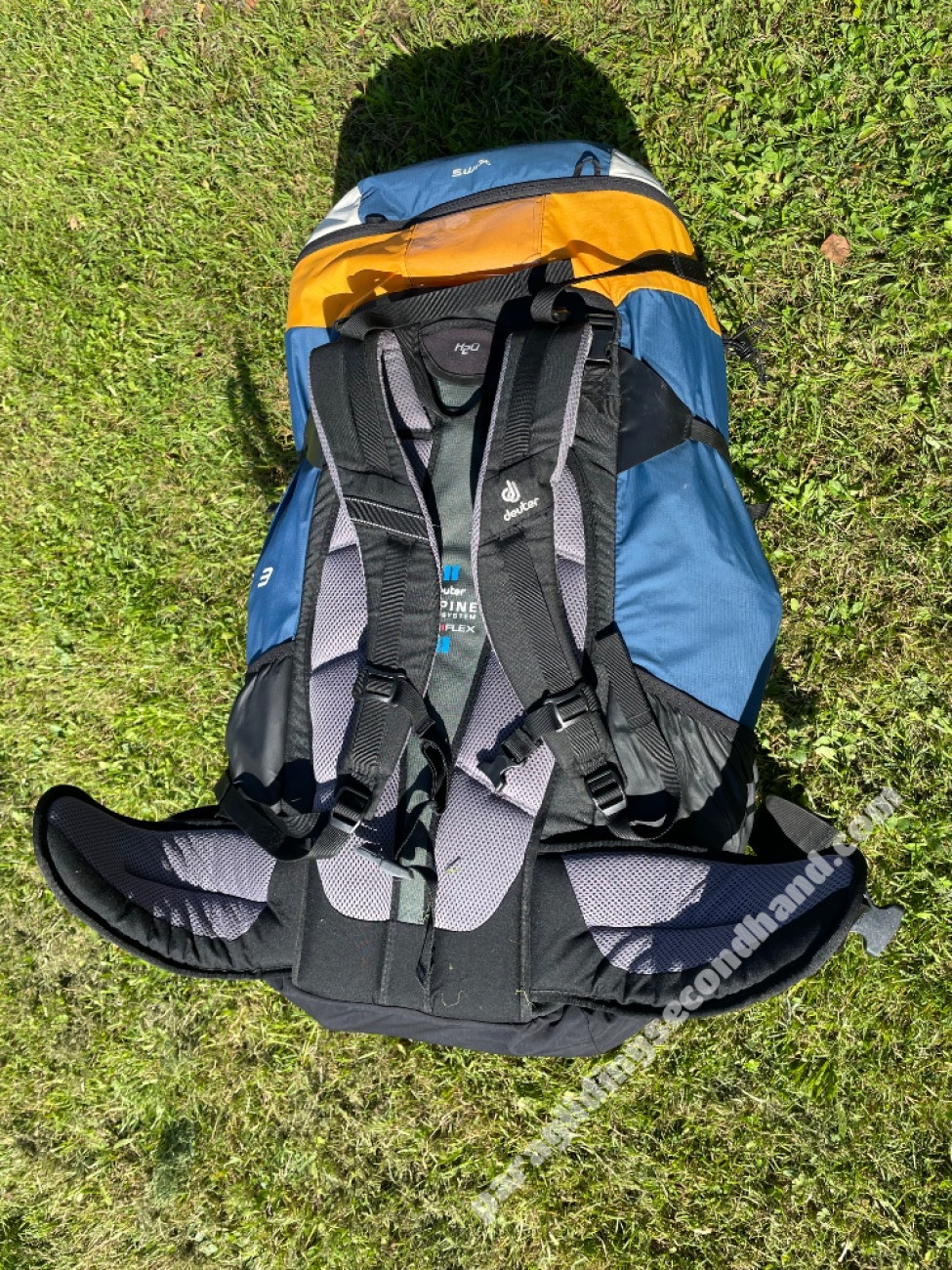 Swing Connect Reverse 3 L (Wani 3), L, 2021