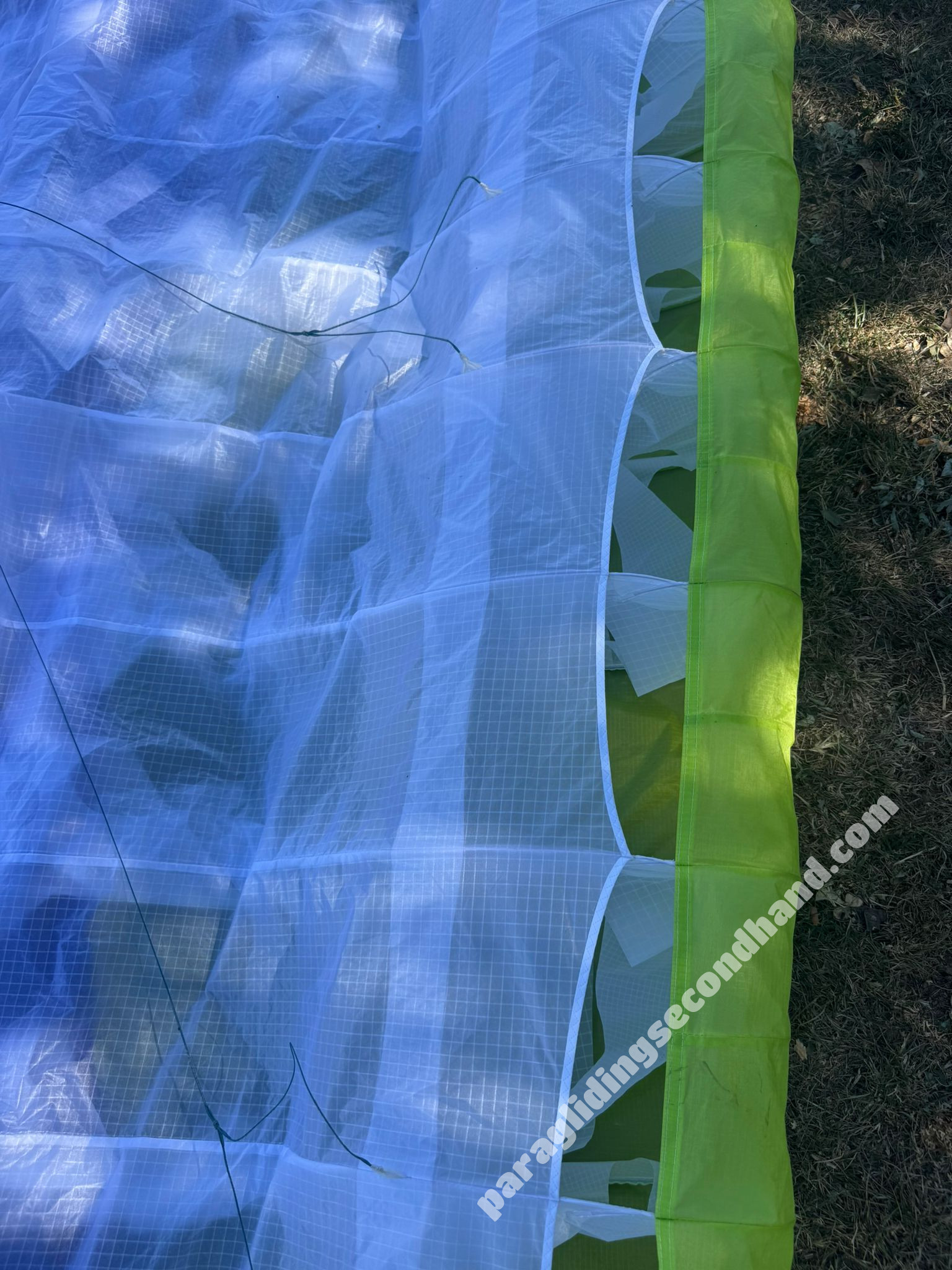 Advance SIGMA DLS, 24, 2024, (80-100kg), 47h