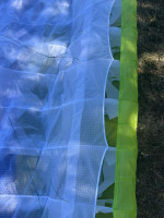 Advance SIGMA DLS, 24, 2024, (80-100kg), 47h