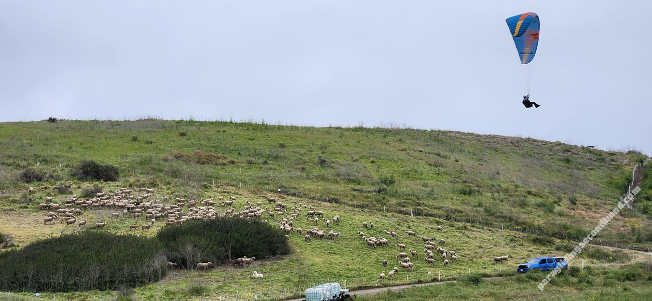 Ozone Buzz Z7, ML, 2024, (85-105kg), 5h