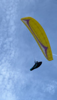 GIN Gliders Carrera, S, 2015, (75-95kg), 90h