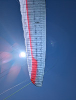 GIN Gliders GTO 3, M, 2025, (90-105kg), 30h