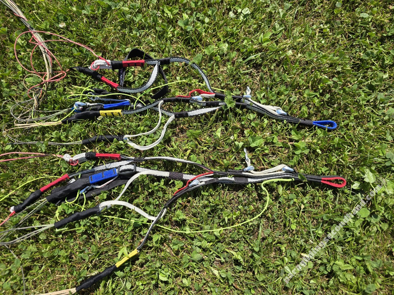 Dudek V king S, 20, 2020, (80-100kg), 15h